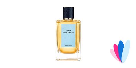 parfum prada marienbad|prada marienbad perfume.